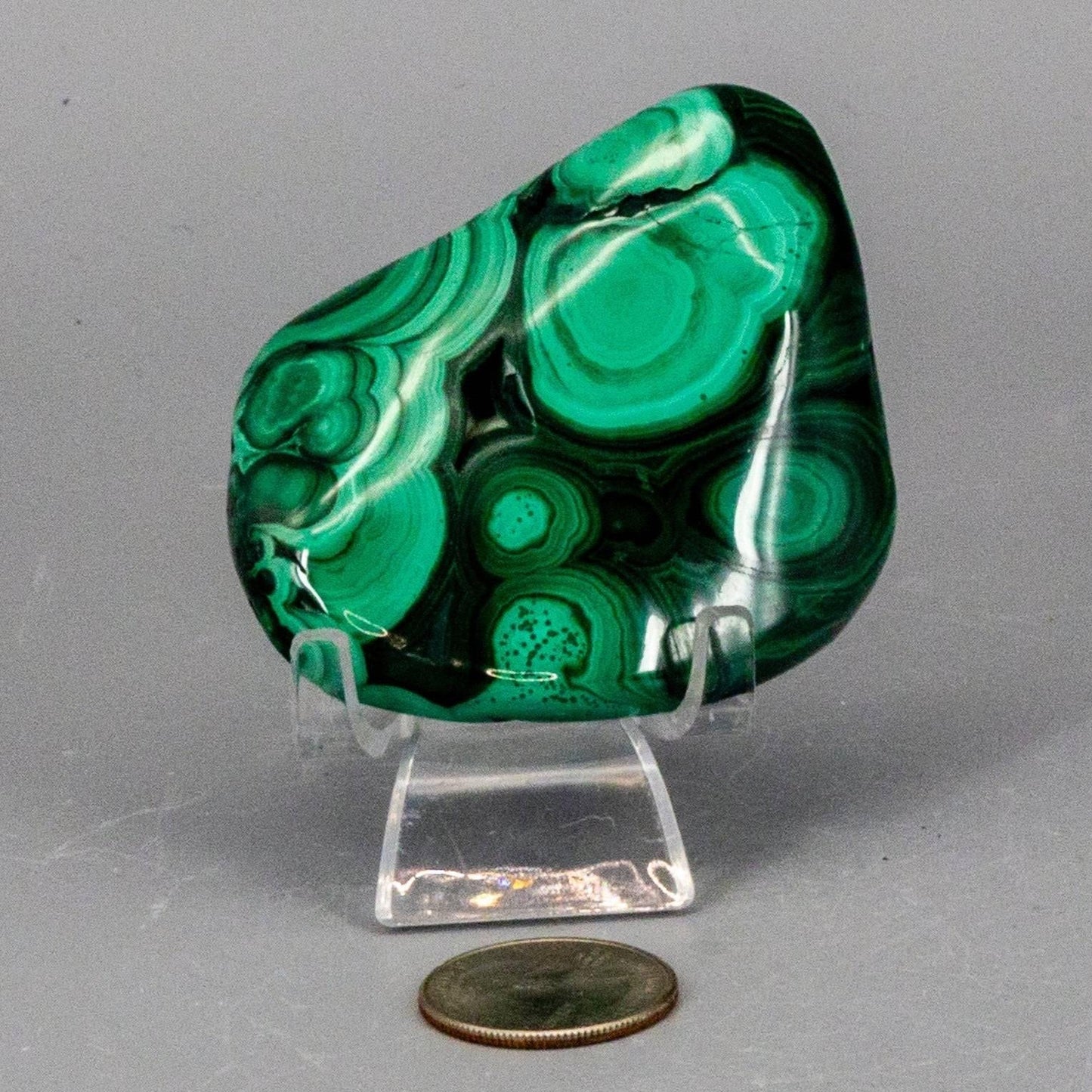 Compact polished malachite pocket specimen featuring distinct circular bullseye patterns in vivid green shades.