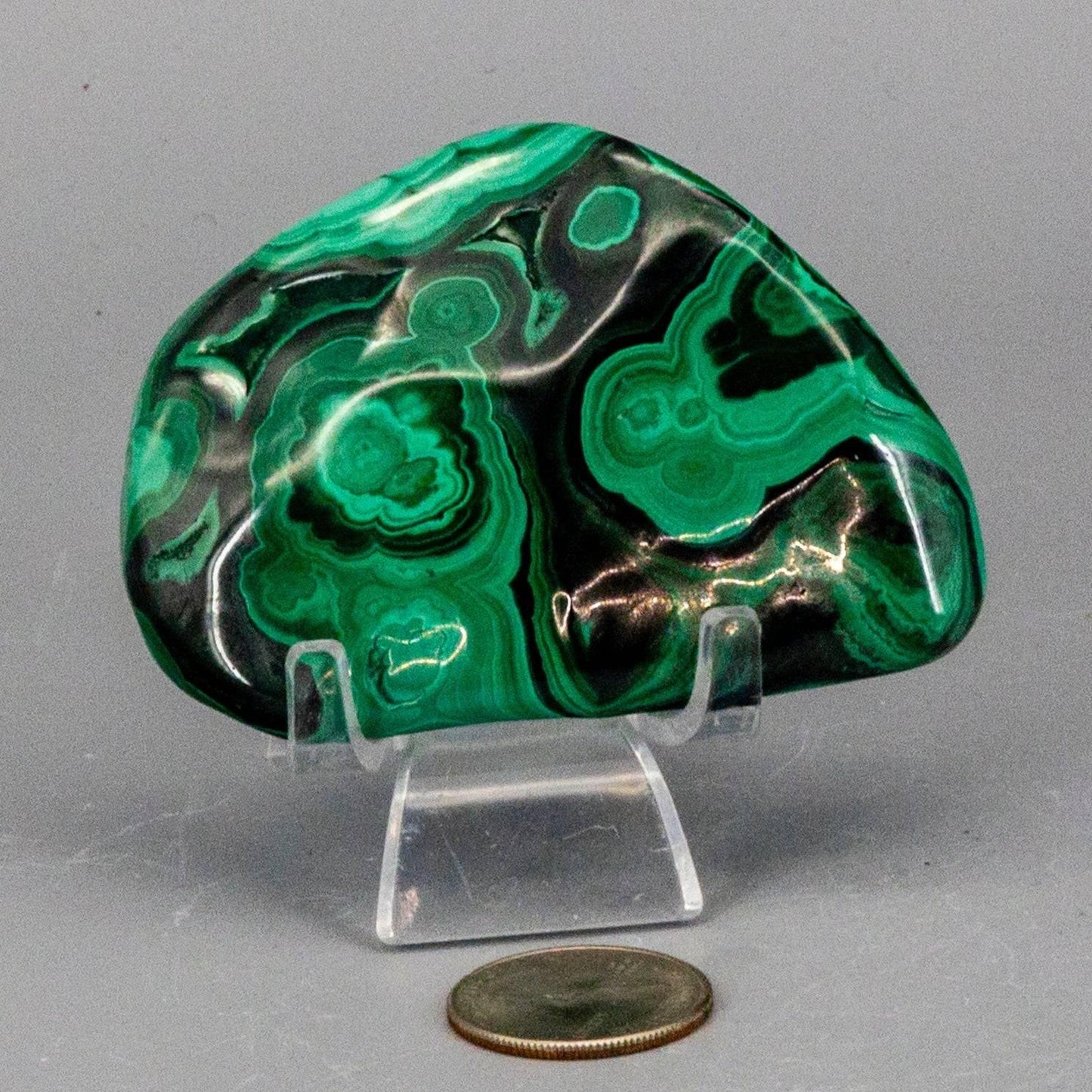 Mid-sized polished malachite piece displaying smooth organic edges and high-contrast light green ringed markings.