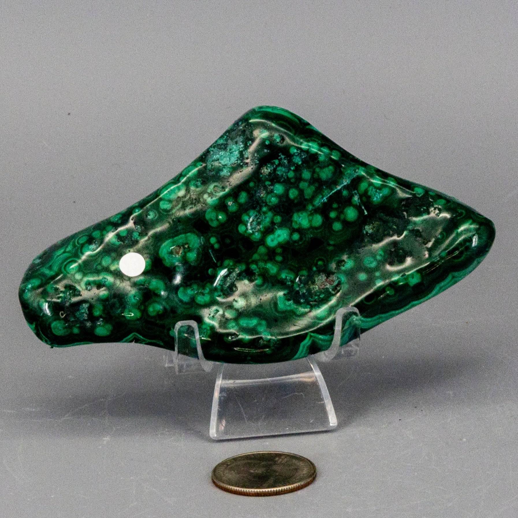 Deep green polished malachite freeform crystal showcasing complex multi-layered swirling patterns.