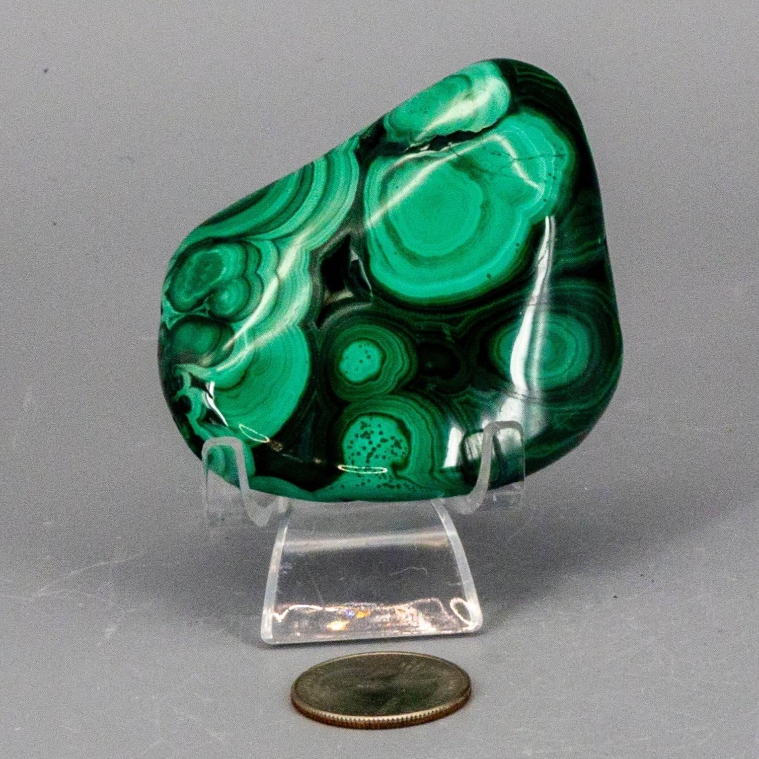 Compact polished malachite pocket specimen featuring distinct circular bullseye patterns in vivid green shades.