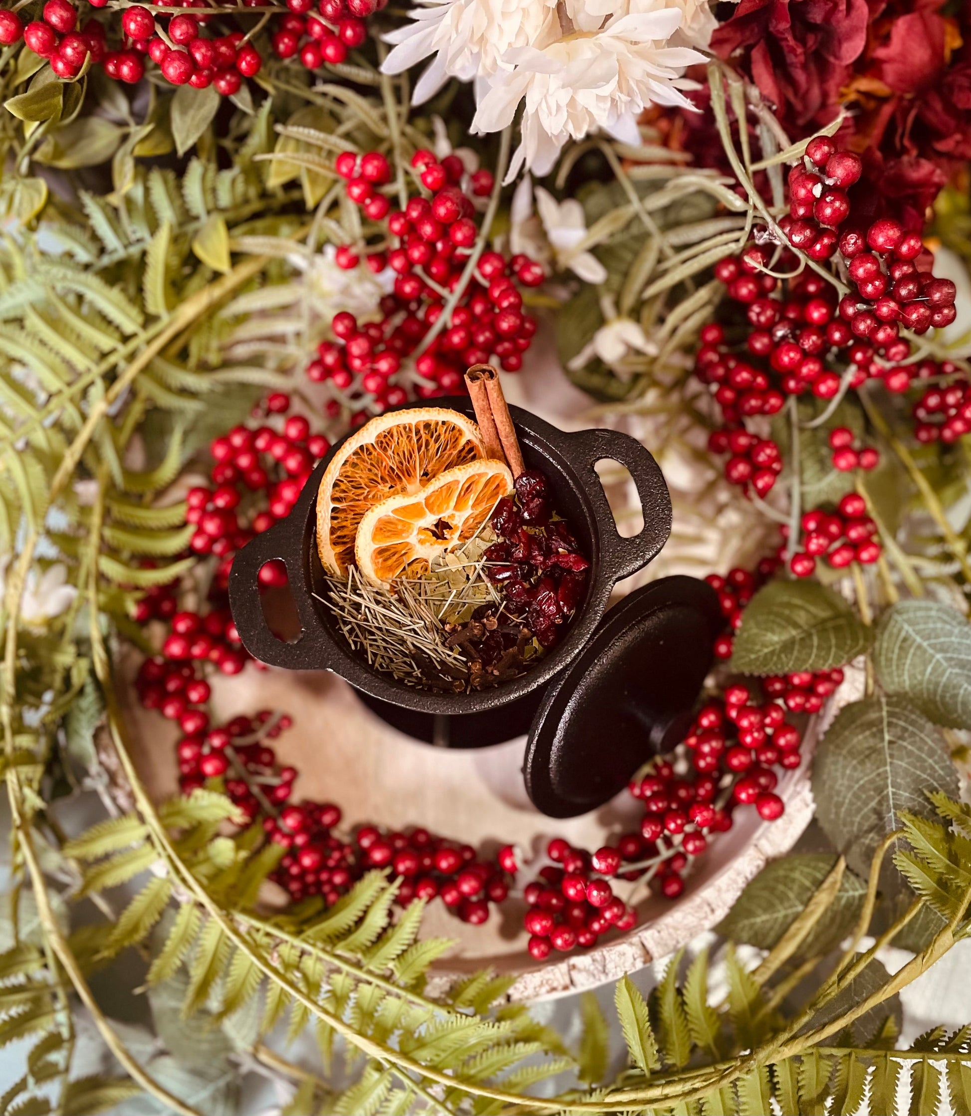 An overhead view of a miniature black stovetop pot filled with dried orange slices, cinnamon sticks, and berries, beautifully nestled within lush green ferns and bright red holiday berries.